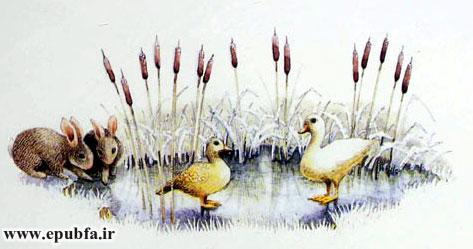 برکه ناپدید شده و صفحهای شیشهای جایش را گرفته بود.